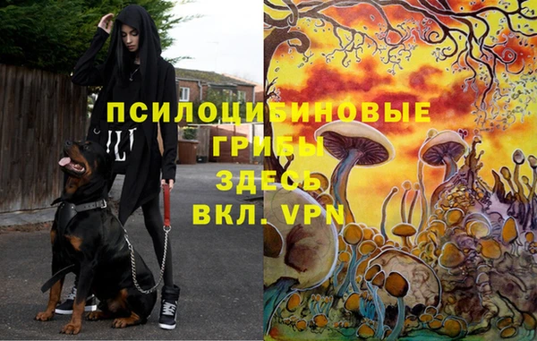 кокаин перу Абаза
