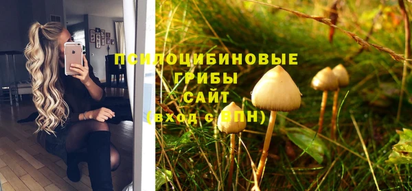 тгк Абдулино